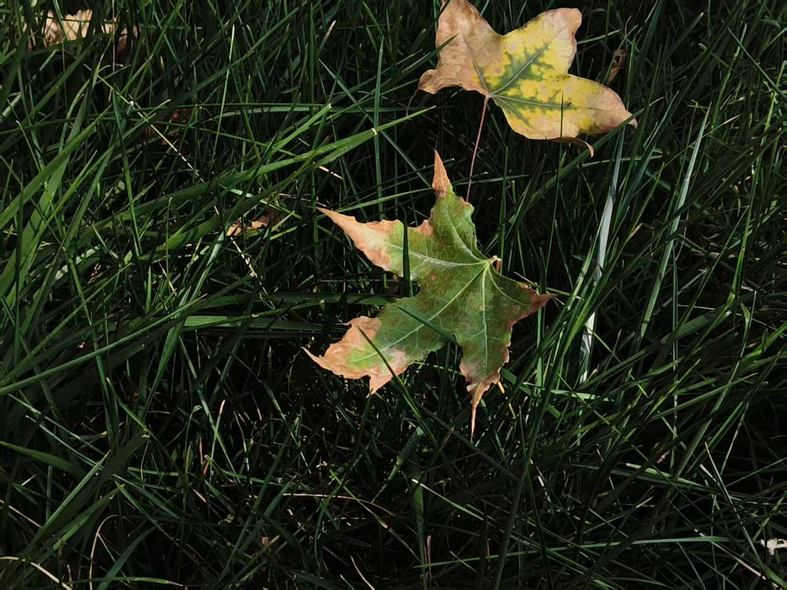 微信圖片_2025-10-10_092731_559 微信圖片_2025-10-10_092731_559