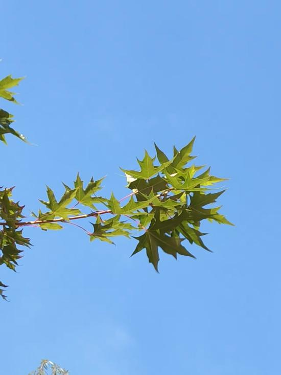 微信圖片_2025-10-10_092738_135 微信圖片_2025-10-10_092738_135