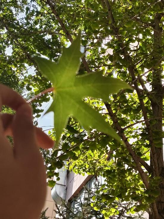 微信圖片_2025-10-10_092742_287 微信圖片_2025-10-10_092742_287